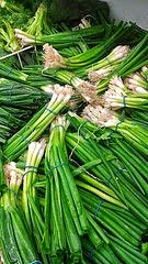 Spring Onions 7 bunches for $1 at Super Best Asian Market