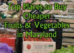 Where to buy fruits and vegetables for the best prices in Maryland