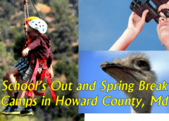 schools closed camps spring break howard county md